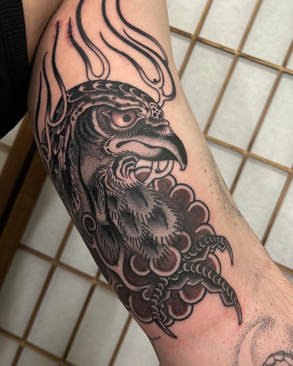 Japanese Hawk "Taka"