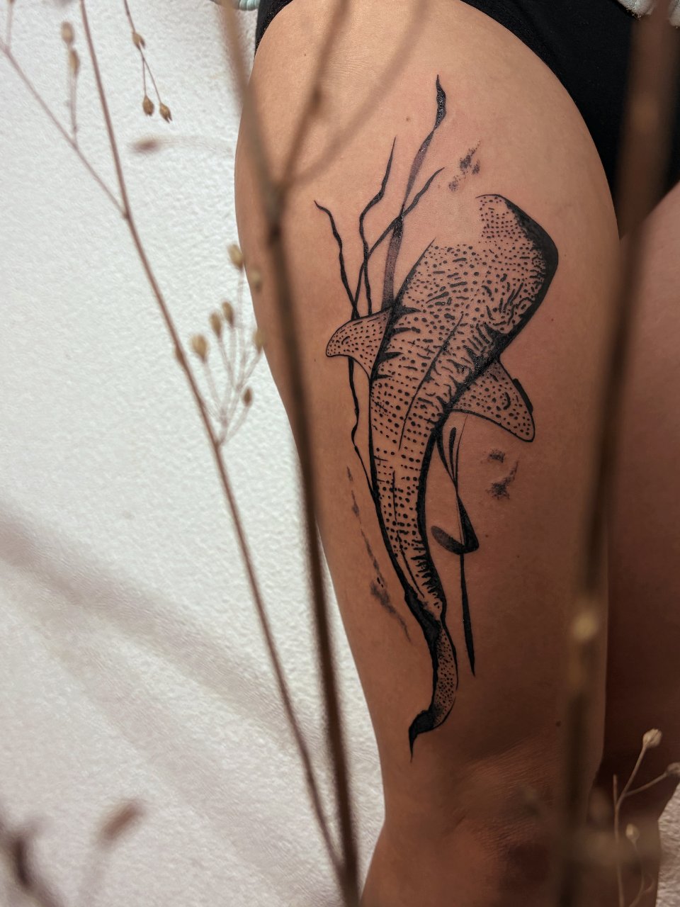 Whaleshark