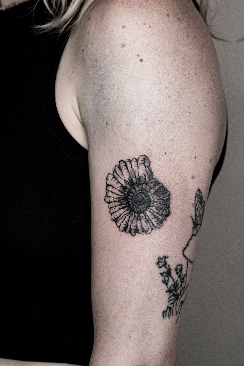 Underwater Species I