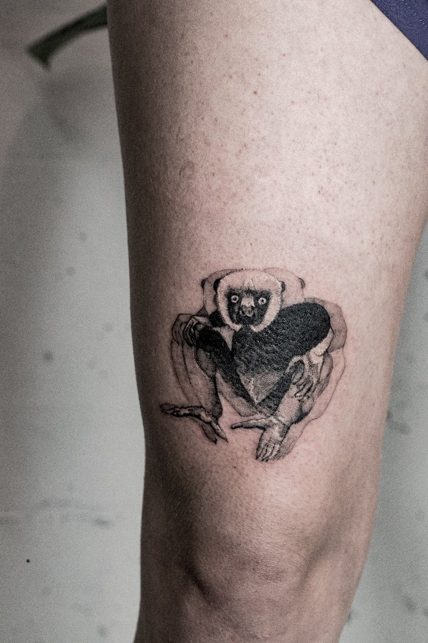 Illusional Figures III