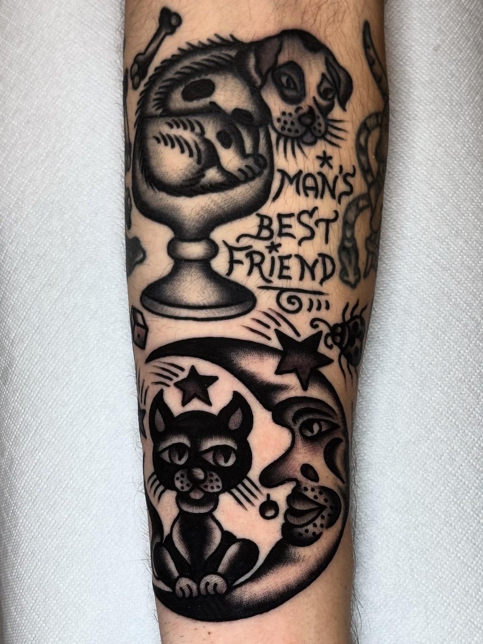Healed dog and fresh cat and moon