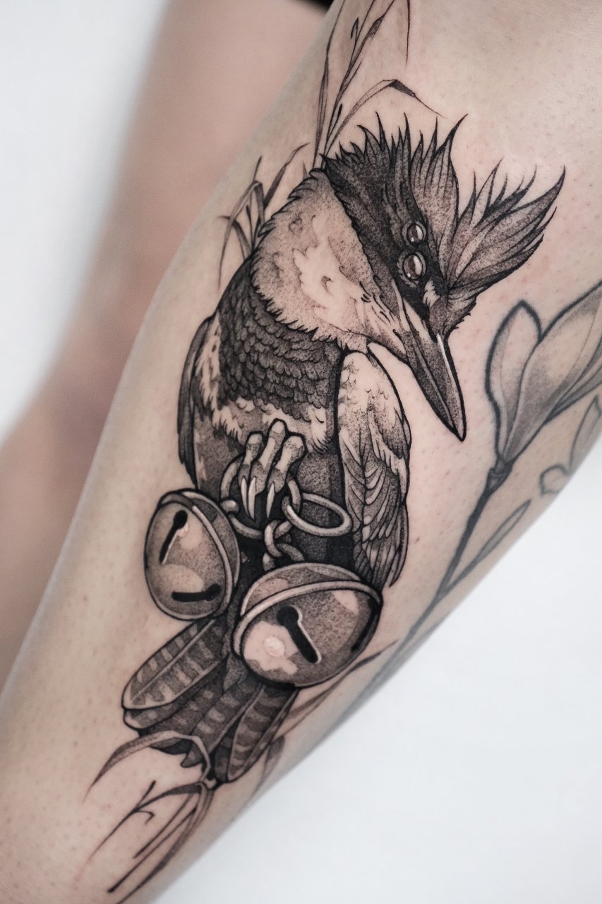 • belted kingfisher •