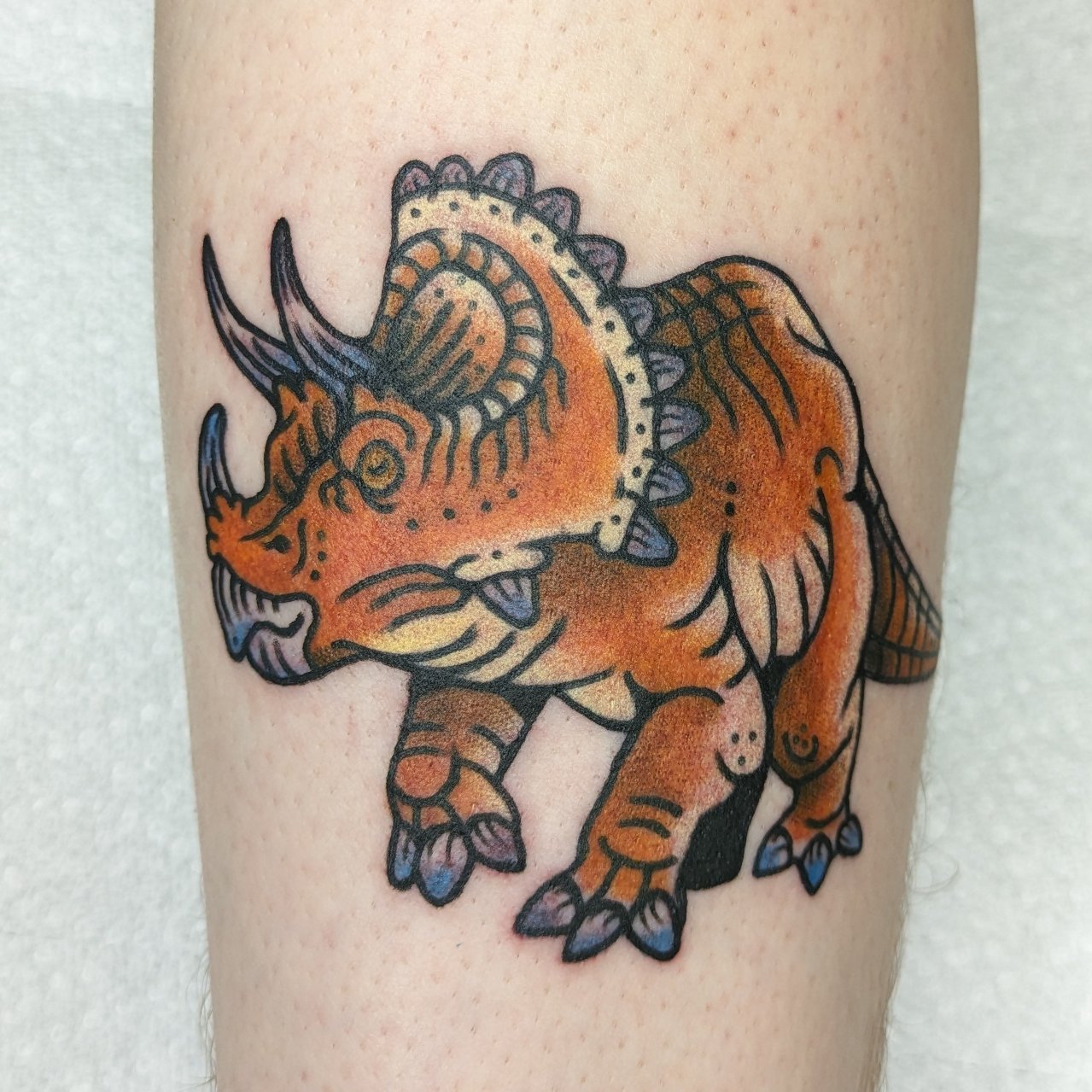 Triceratops