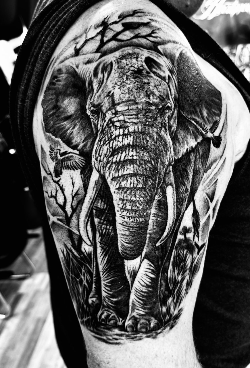 Der Elefant 