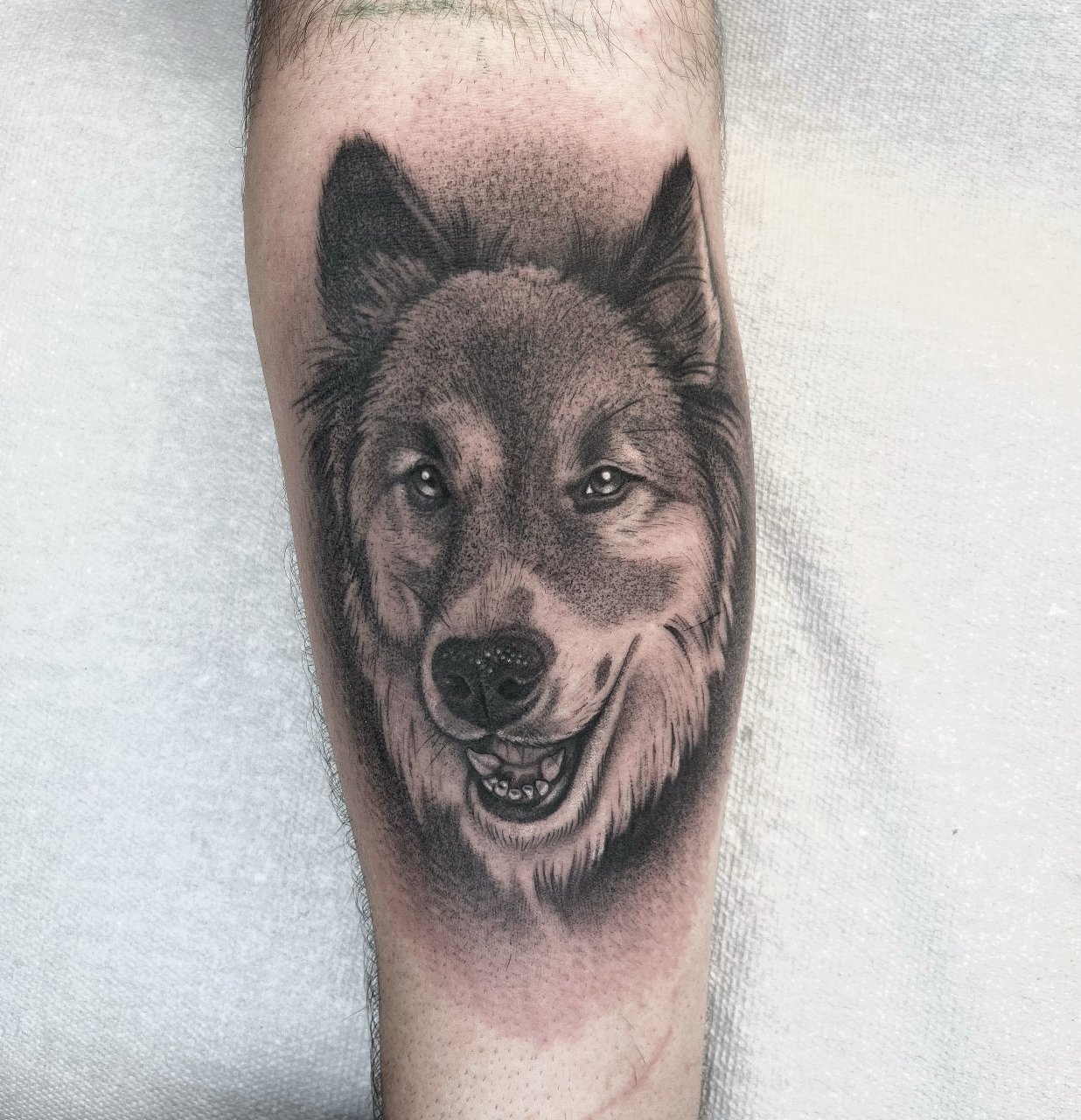 des Menschen Bester Freund