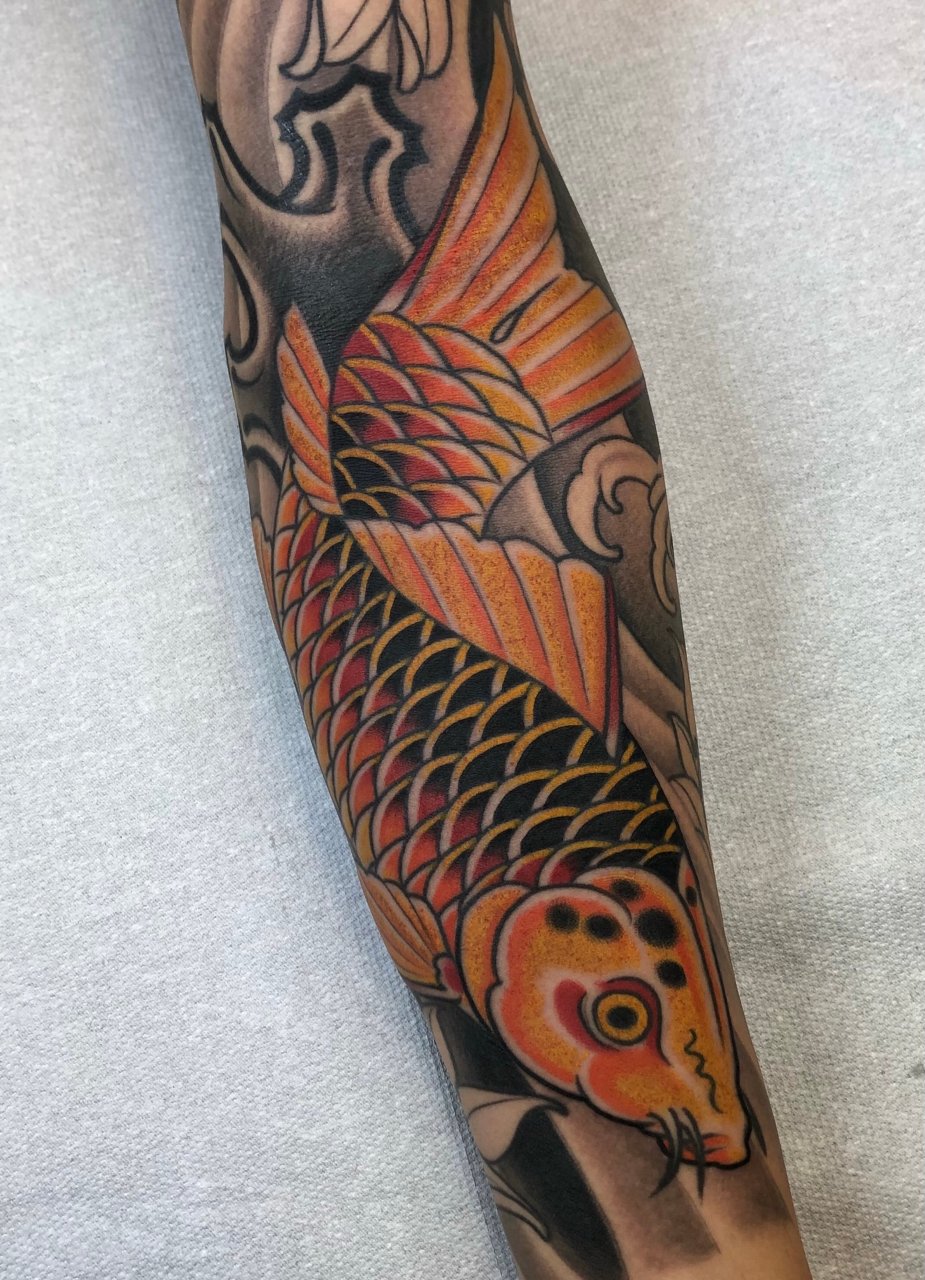 Koi