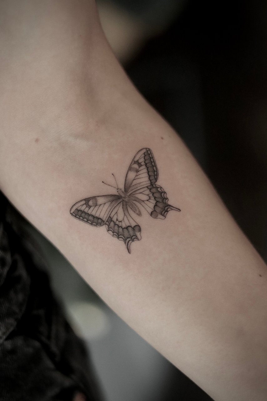 Butterfly