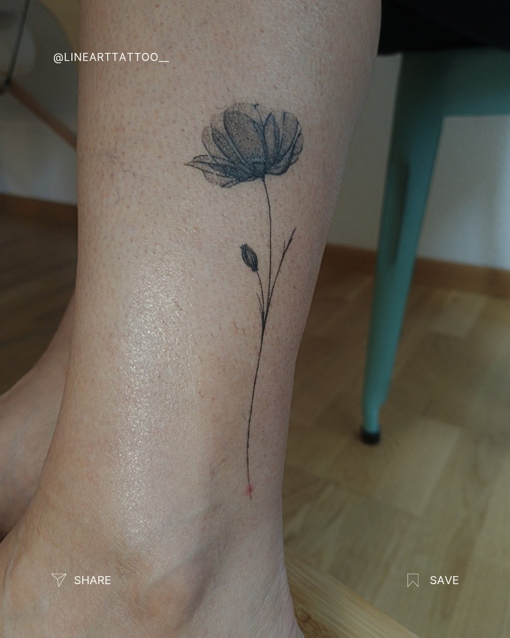 shaded poppy flower