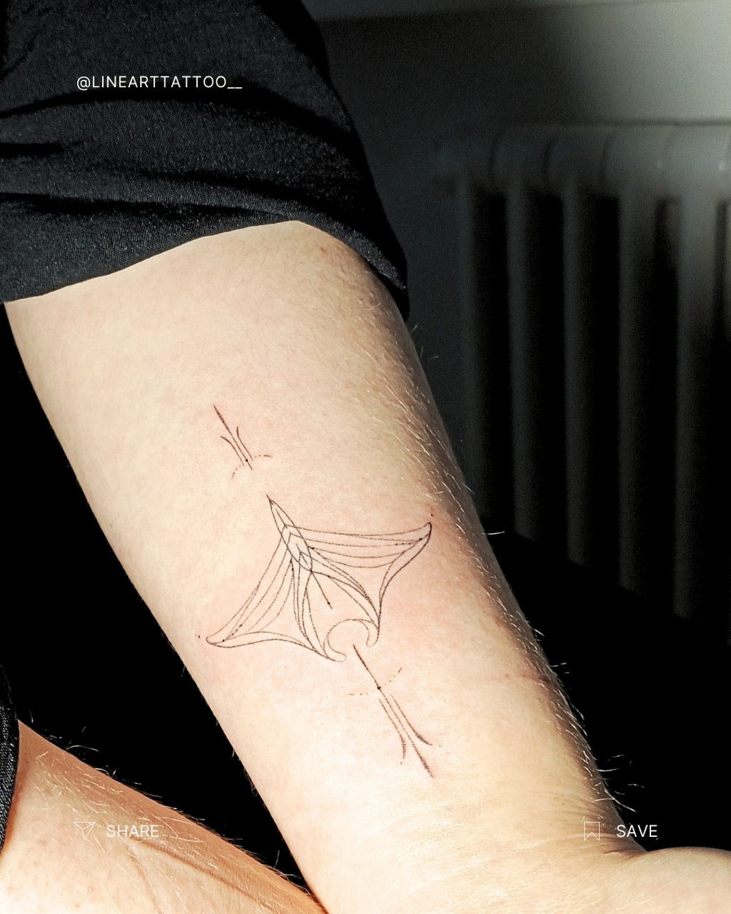 Handpoke manta