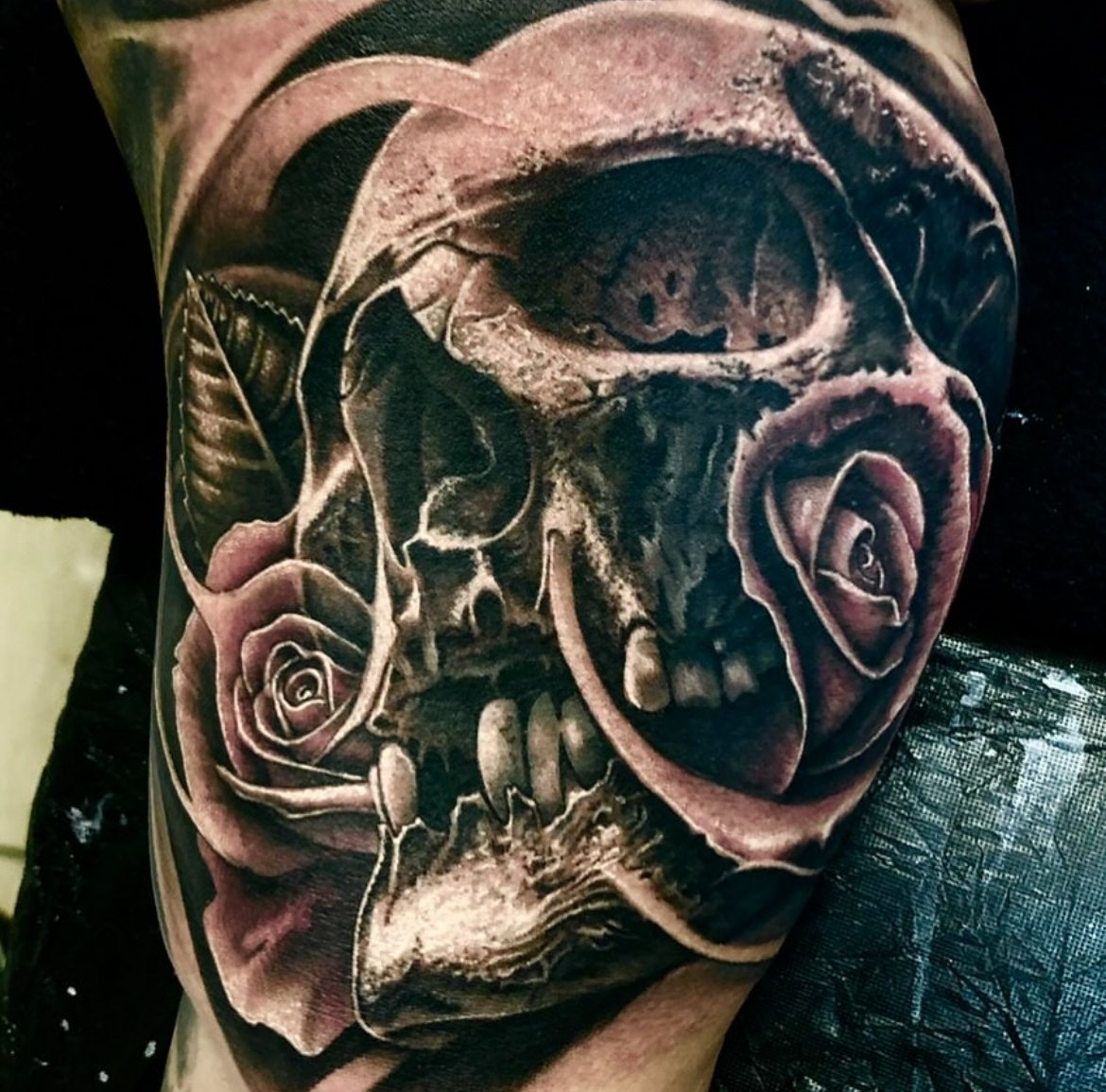 Skull and roses 