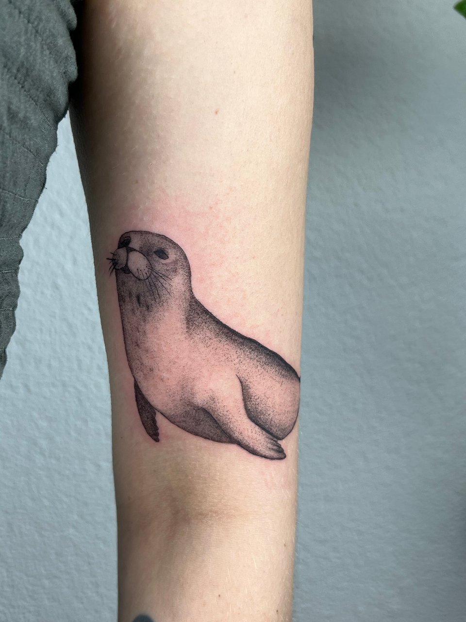Sealion