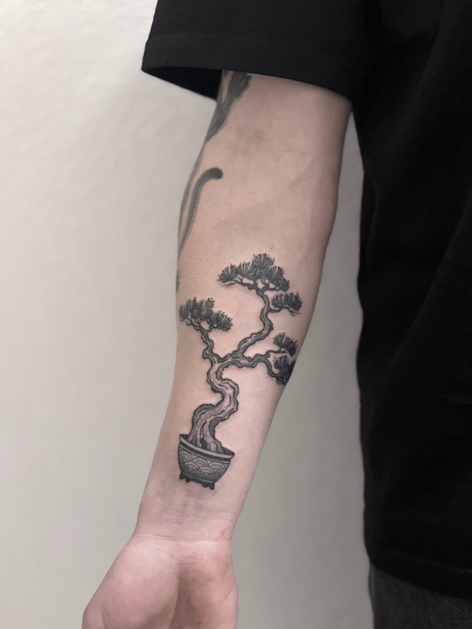Bonsai tree