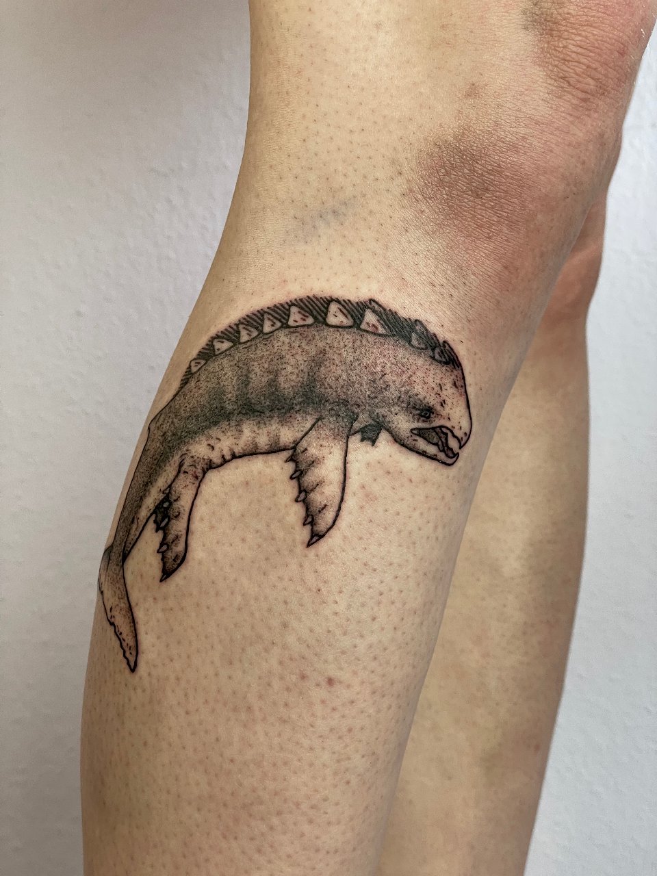 Icelandic Folklore Creature