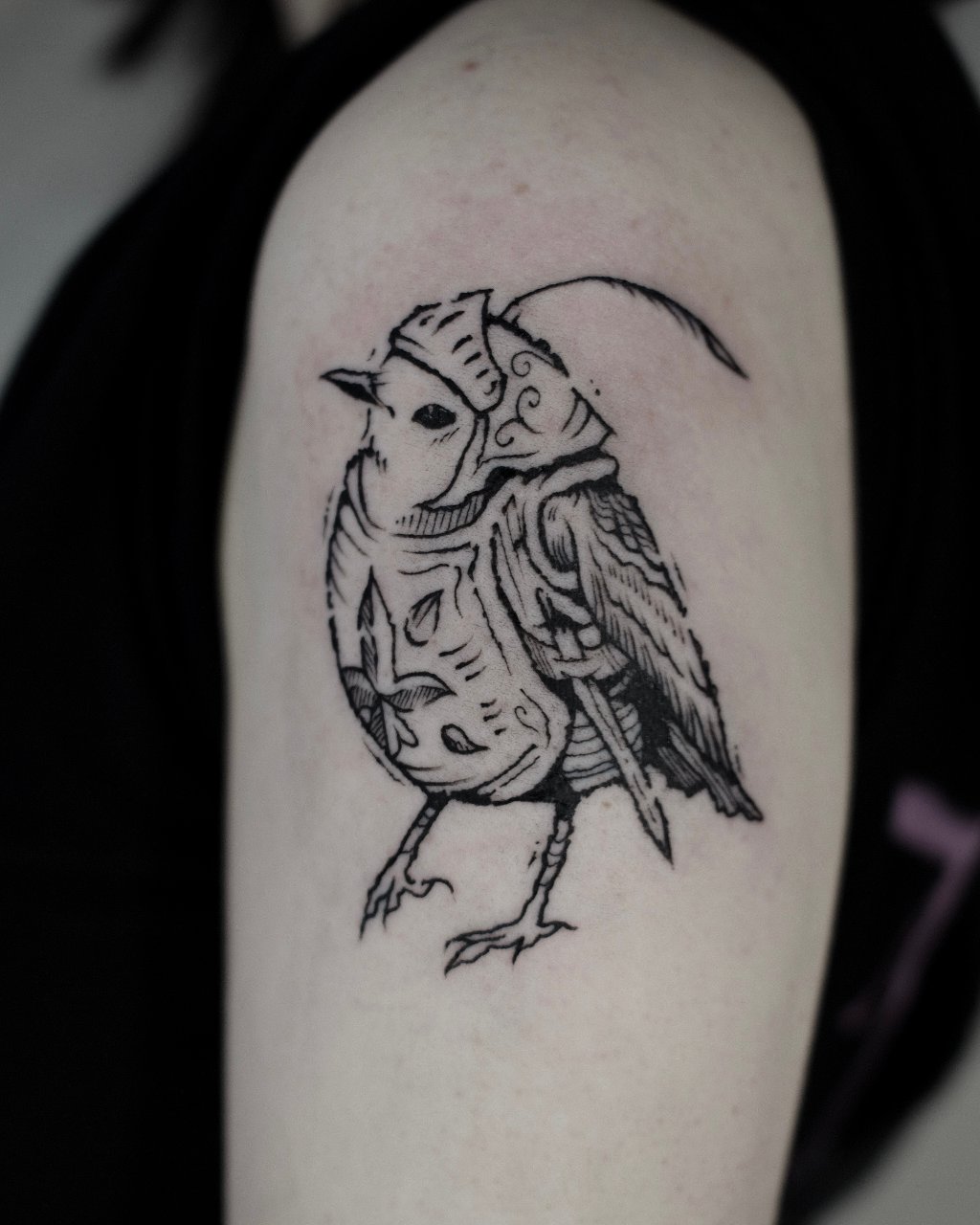 The feathered knight