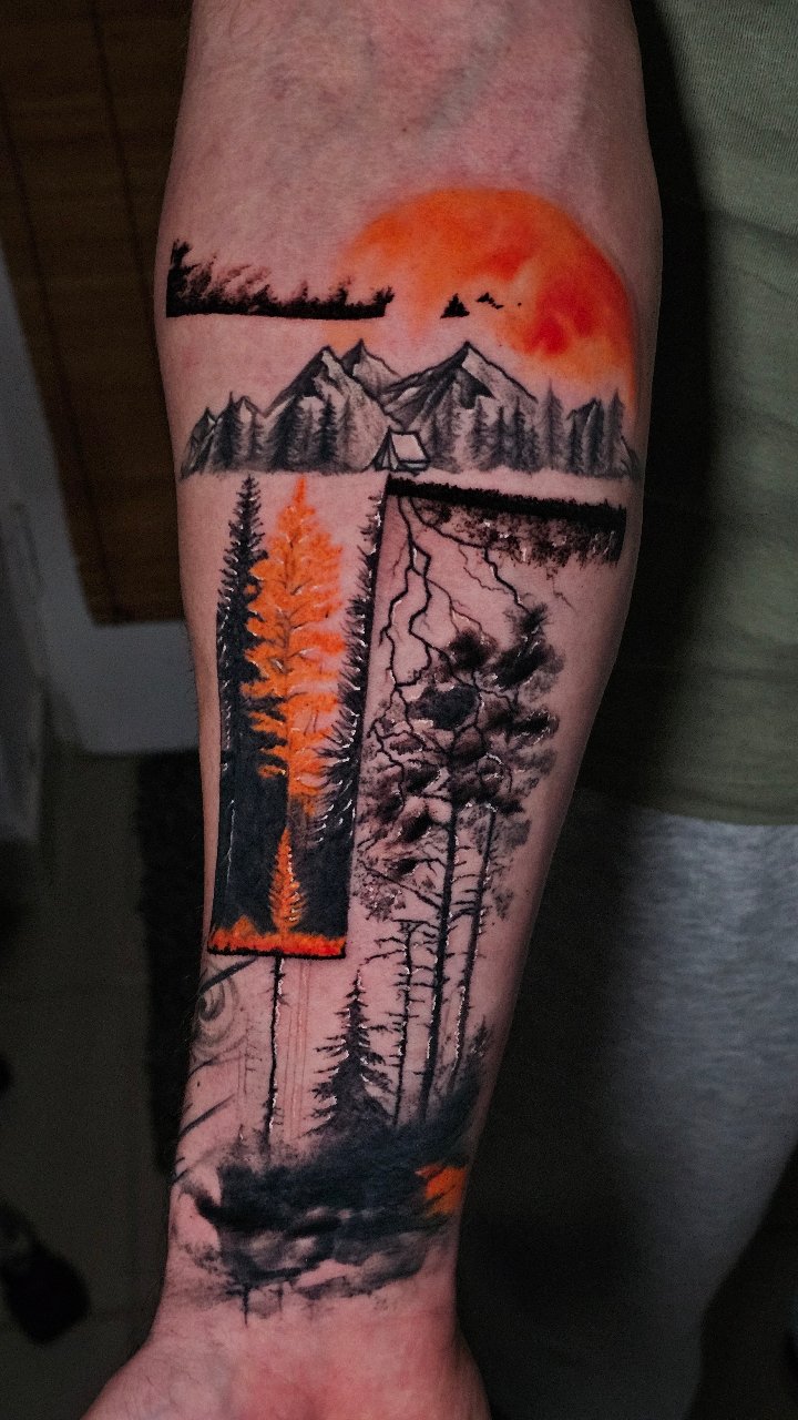 Forest 