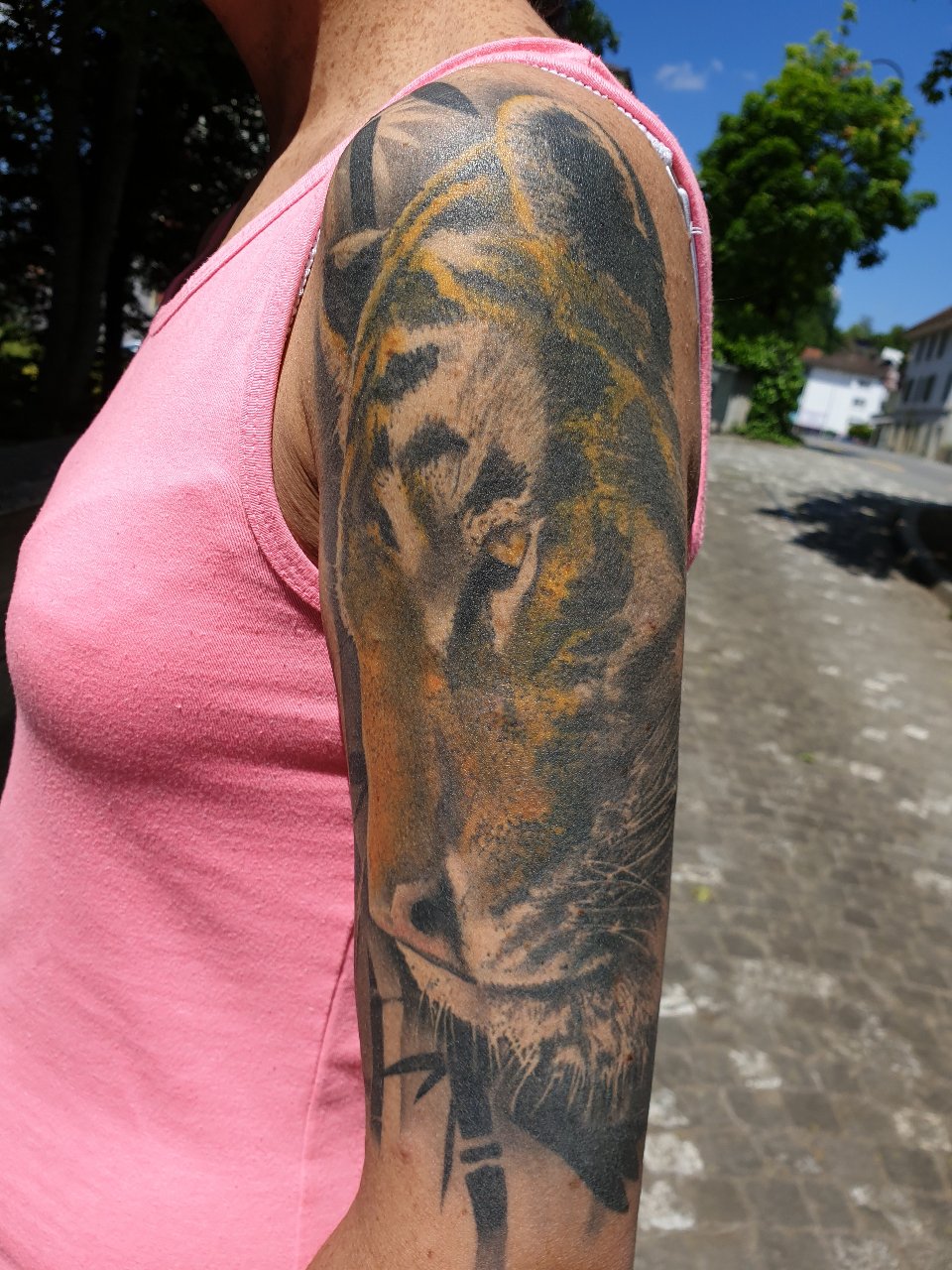 Coverup Tiger