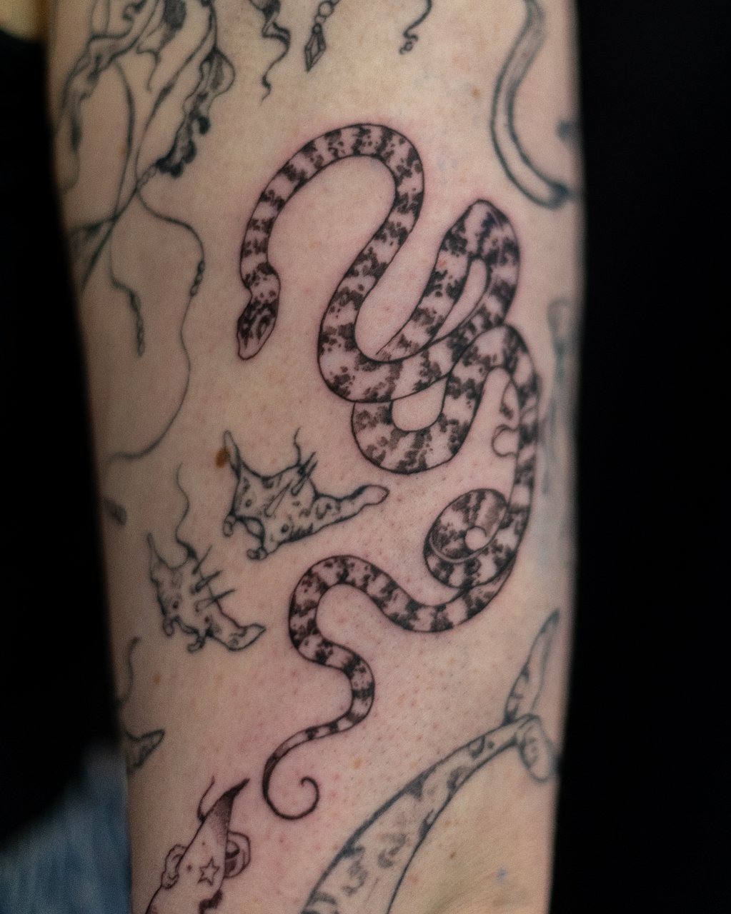 Cute custome snake 