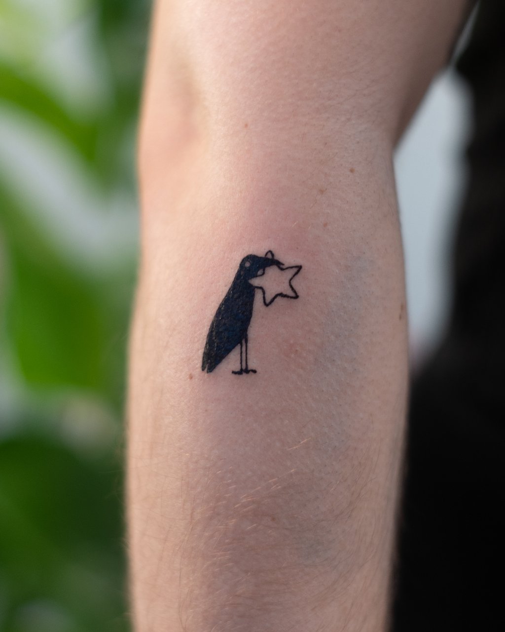 Cute custom birb 