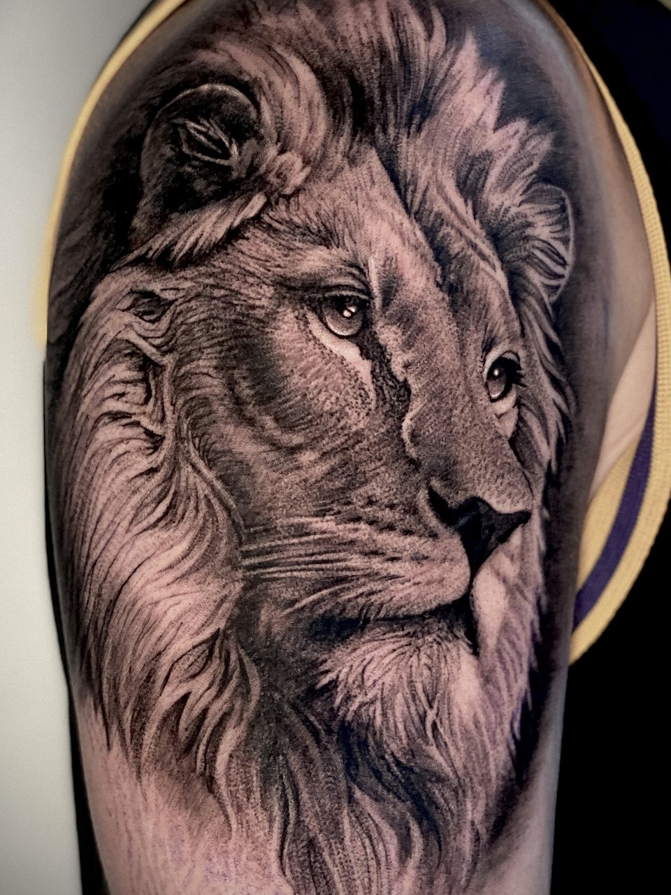 Lion