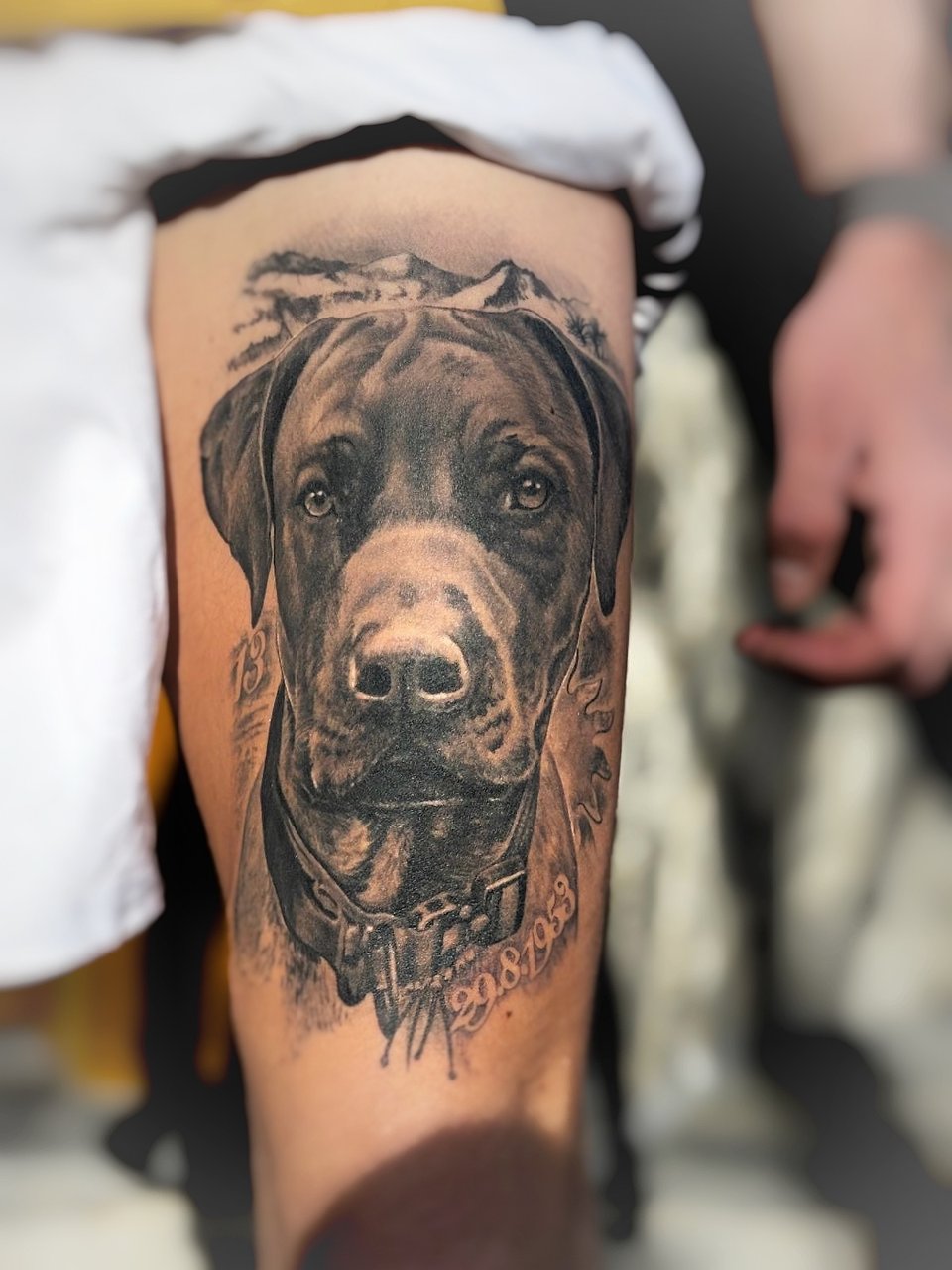 Hund auf Bein💁🏻‍♂️