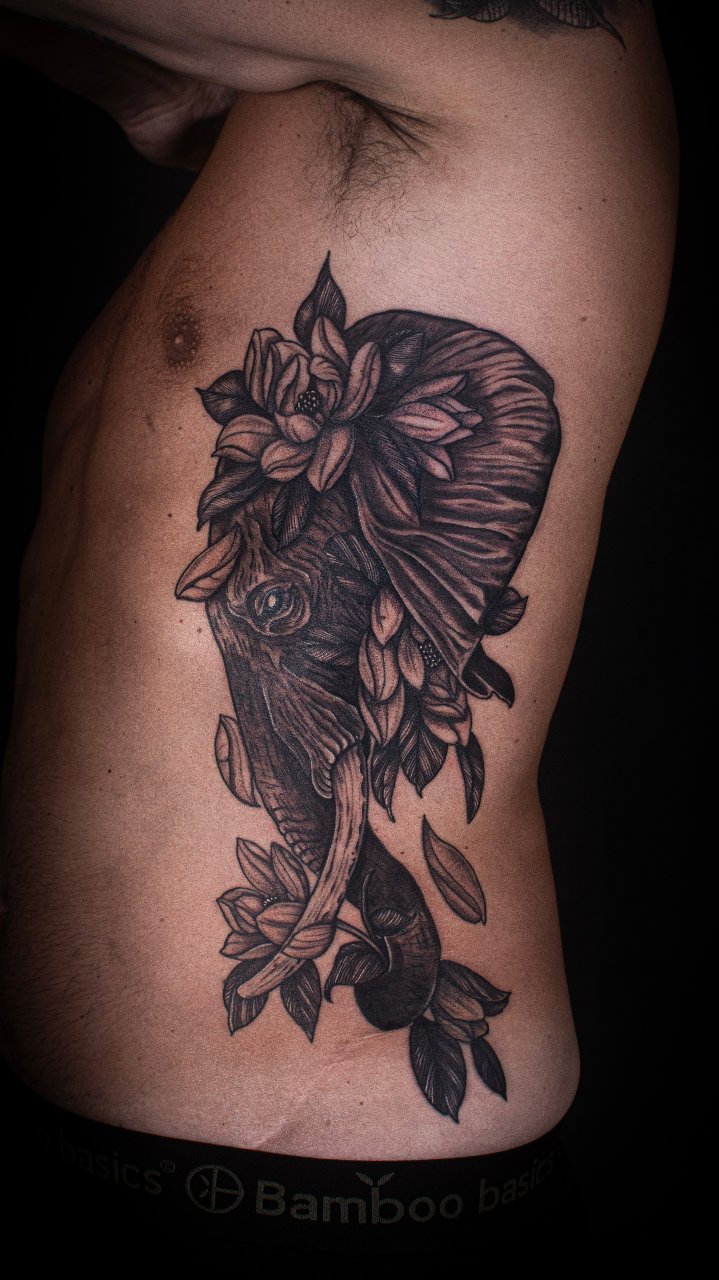 Éléphant & Magnolias